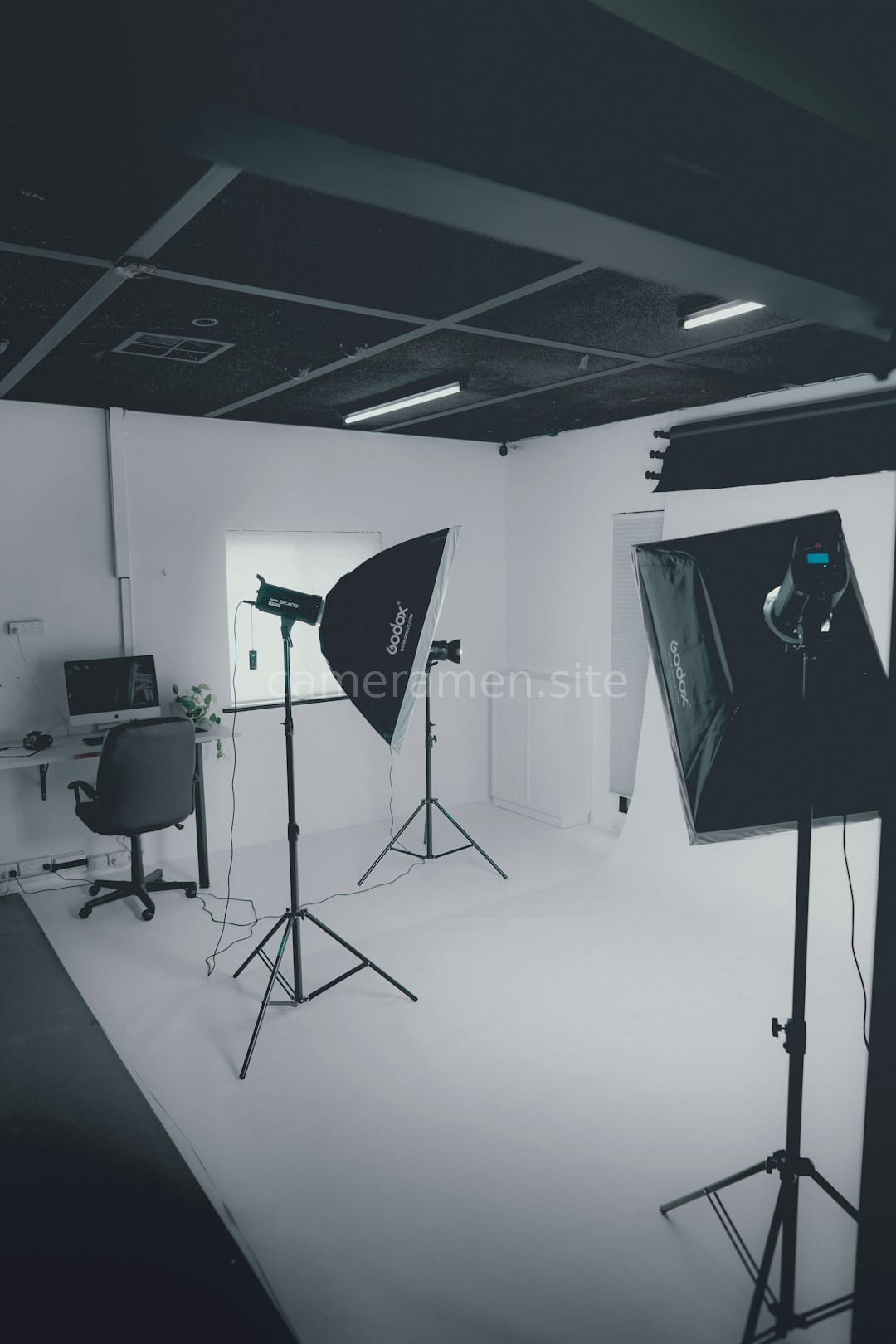 Studio Motion
